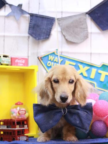 20230414バナナちゃん